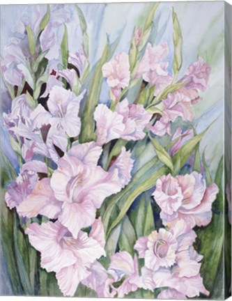 Framed Gladiolus Print