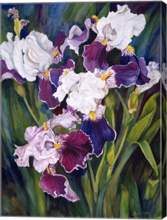 Framed Wind Blown Iris Print