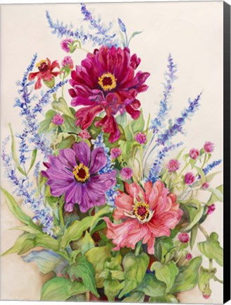 Framed Zinnias and Blue Salvias Print