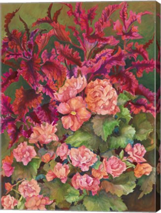 Framed Coleus and Begonias Print
