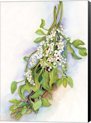 Framed Mistletoe Print