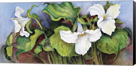 Framed Woodland Trillium A Print
