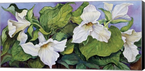 Framed Woodland Trillium B Print
