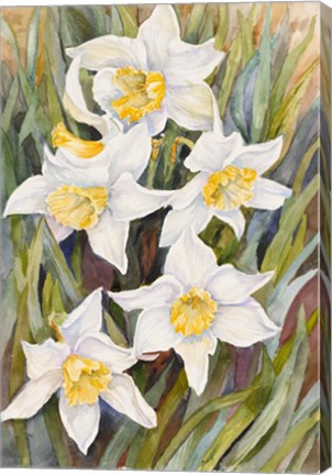 Framed Daffodil Heads Print