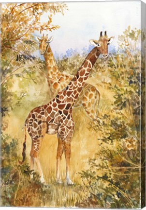 Framed Giraffes Print