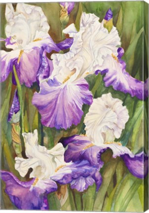 Framed Lavender Iris Print