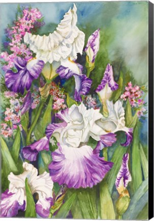 Framed Iris Garden Print