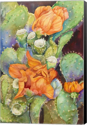 Framed Desert Blooms Print