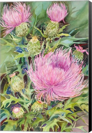 Framed Thistles Print