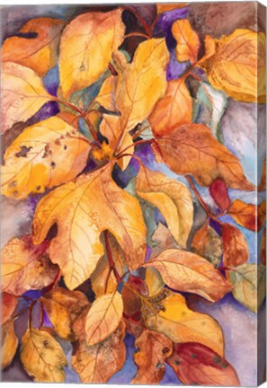 Framed Sassafras Leaves Print