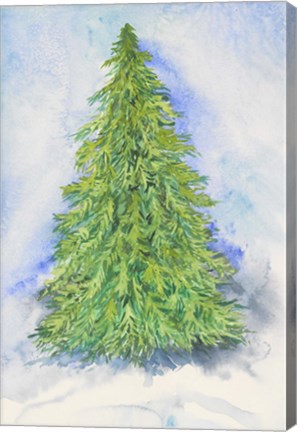 Framed Evergreen Tree Print