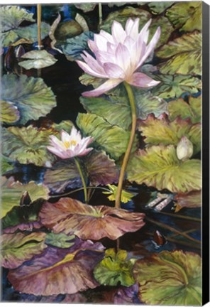 Framed Water Lilies Print