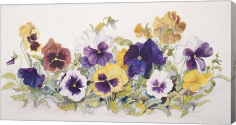 Framed Pansies&#39; Faces Print