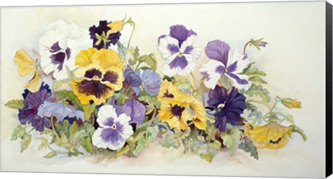 Framed Pansies In Yellow- Purple Print