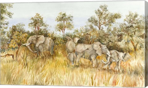 Framed African Elephant Print