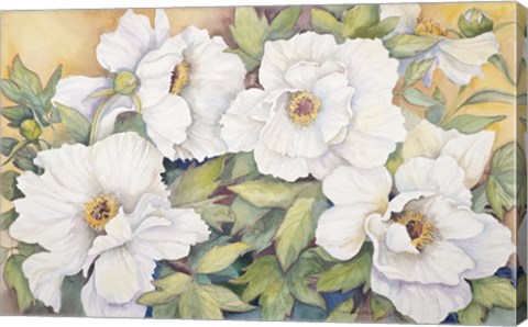 Framed Peonies Dressed In White Print