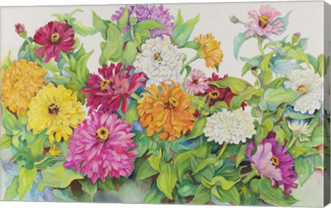 Framed Festive Zinnias Print
