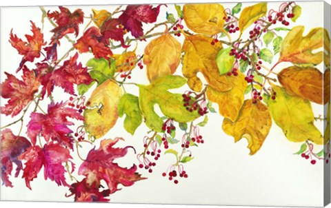 Framed Fall Color Print