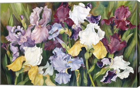 Framed Multi Colored Field Of Iris Print