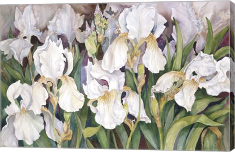 Framed Field Of Iris Print