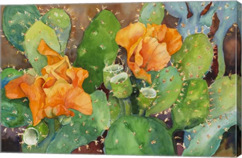 Framed Blossoming Cactus Print