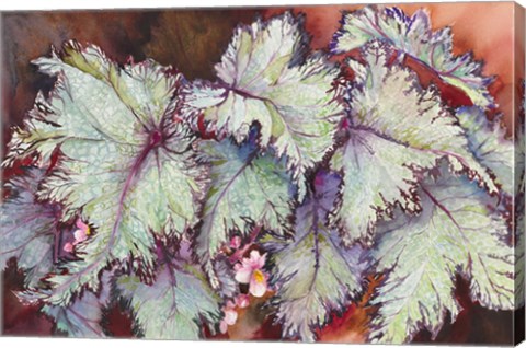 Framed Begonia Leaves Print