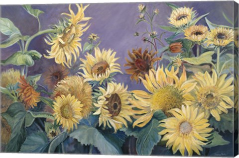 Framed Sunflower In Purple Sky Print