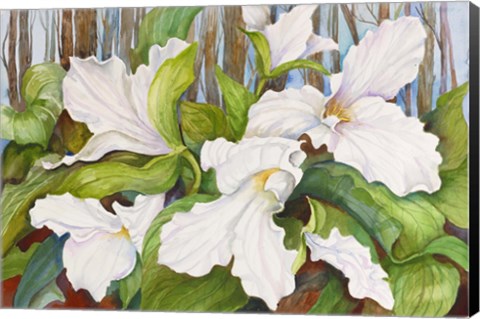 Framed Woodland Trillium Print