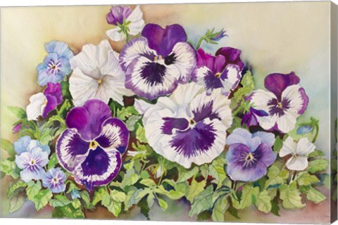 Framed Pansy Cluster Print