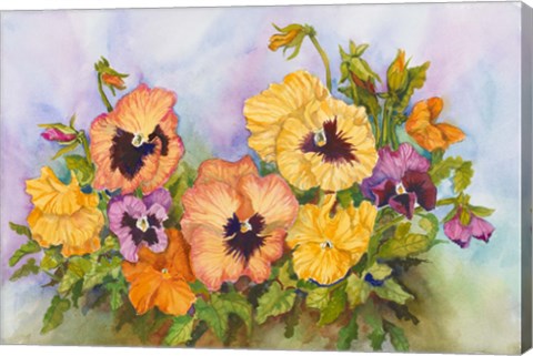 Framed Pansies in a Blue Sky Print
