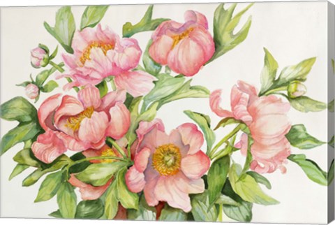 Framed Peony Spray Print