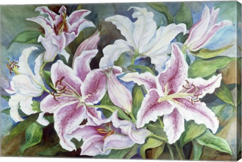 Framed Lilies Of The Field Print