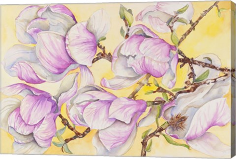 Framed Tulip Tree Print