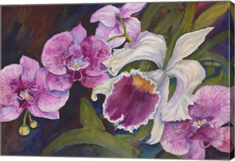 Framed Orchid Print