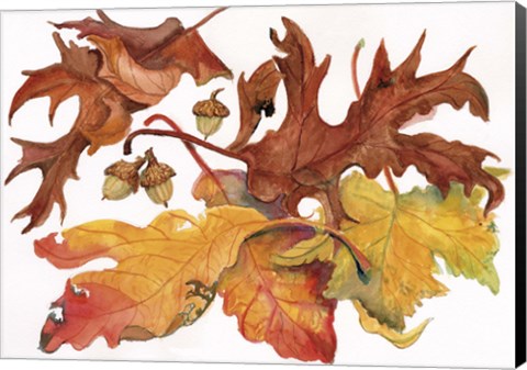 Framed Leaves And Acorns Print