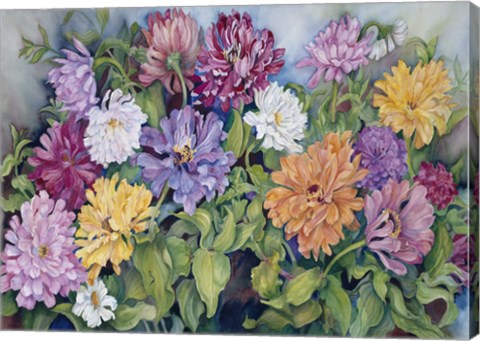 Framed Zinnia 3 Print