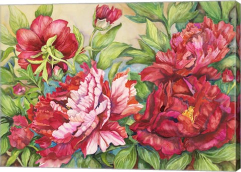 Framed Peonies In Shades of Red Print