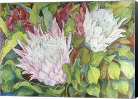 Framed Protea And Red Ginger Print