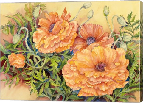 Framed Double Poppies Print