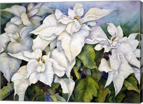 Framed White Poinsettia Print