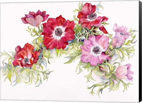 Framed Red Anemonies Print