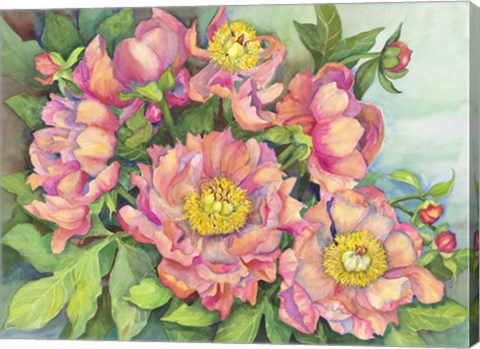 Framed Peony Garden Print