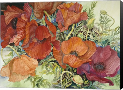 Framed Orange Poppies Print
