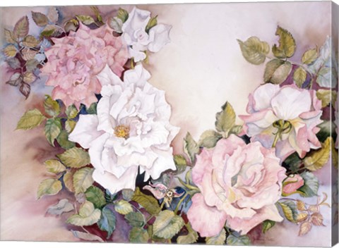 Framed Last Rose Of Summer Print