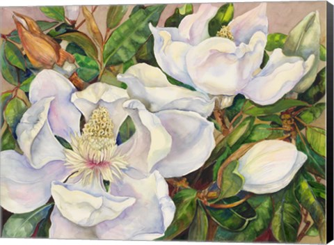 Framed Magnolia Tree Print