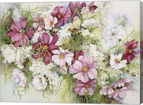 Framed Cosmos And Queen Ann Lace Print