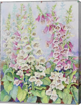 Framed Summer Foxglove Print