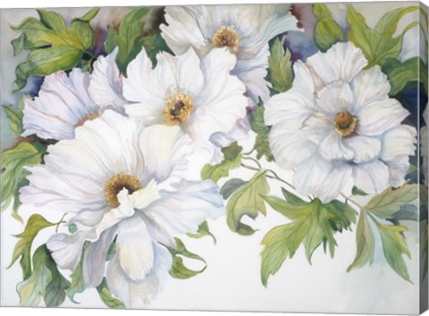 Framed White Peonies Print