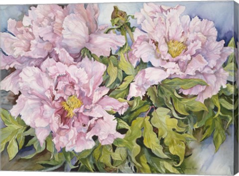Framed Peonies Print
