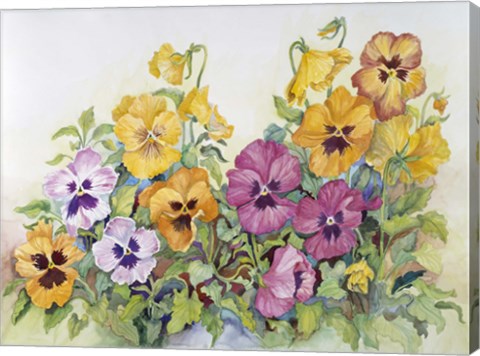 Framed Amber Pansies Print